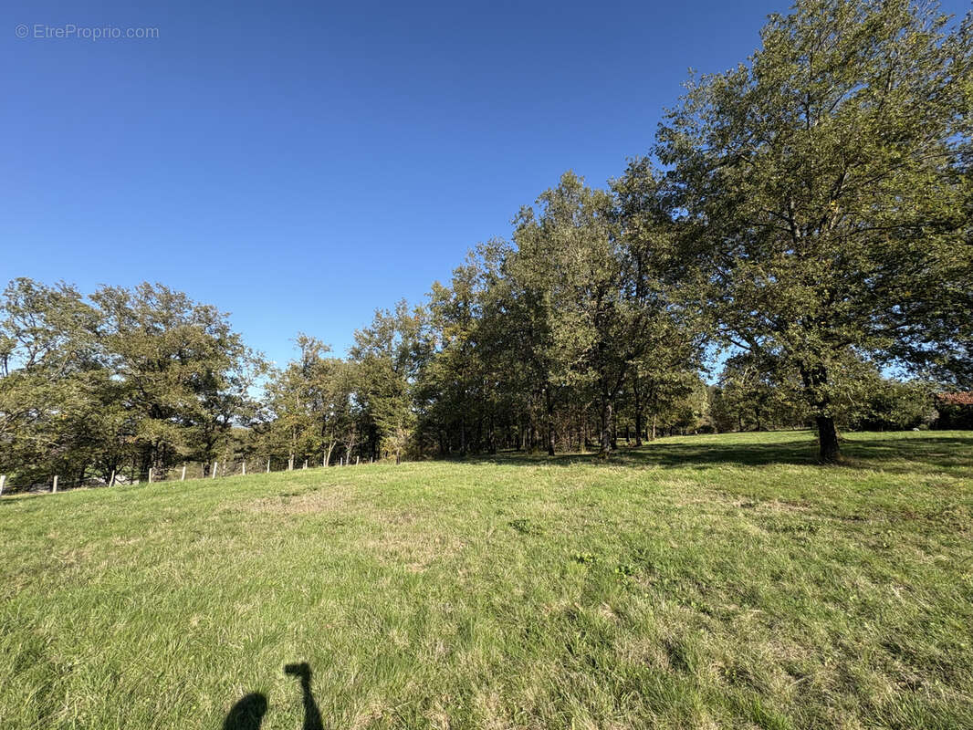 Terrain à BRIVE-LA-GAILLARDE
