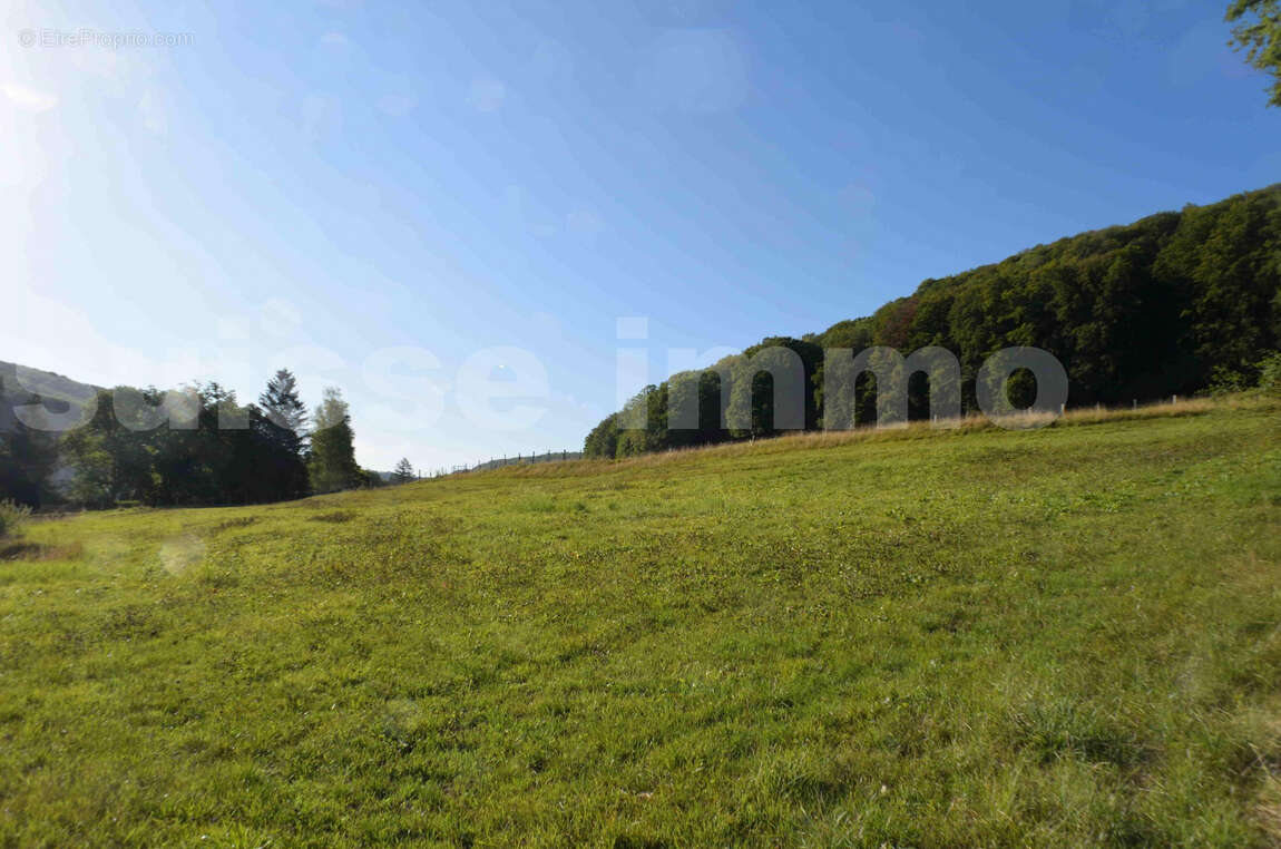 Terrain à SANCEY-LE-LONG