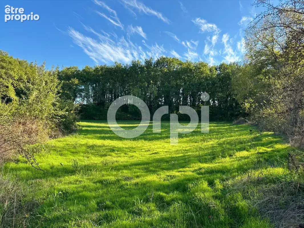 Terrain À Vendre 5 960 m² - photo 6