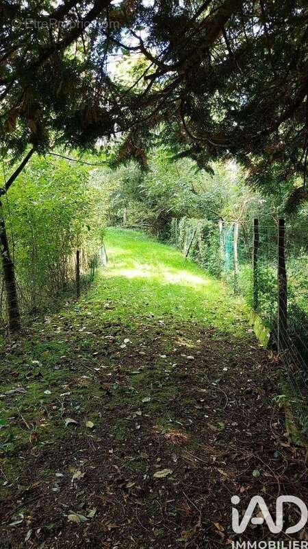 Photo 3 - Terrain à DISSAY