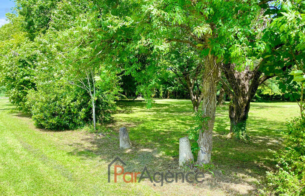 Maison à SAINT-ANDRE-DE-LIDON