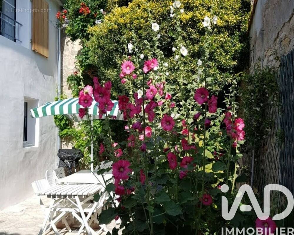 Photo 1 - Maison à SAINT-MARTIN-DE-RE