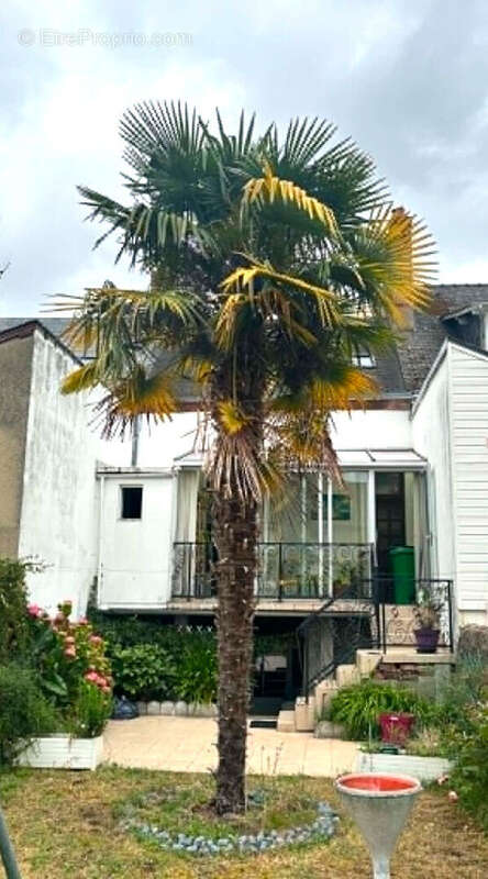 Maison à LE MANS