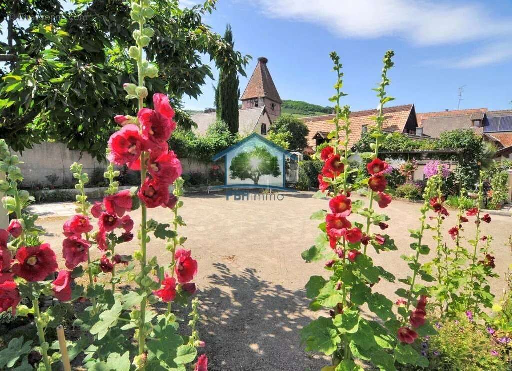 AMMERSCHWIHR (68) - Gîte & Chambres d'Hôtes Clé en Main - photo 8
