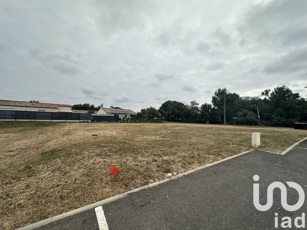 Photo 1 - Terrain à NEGREPELISSE