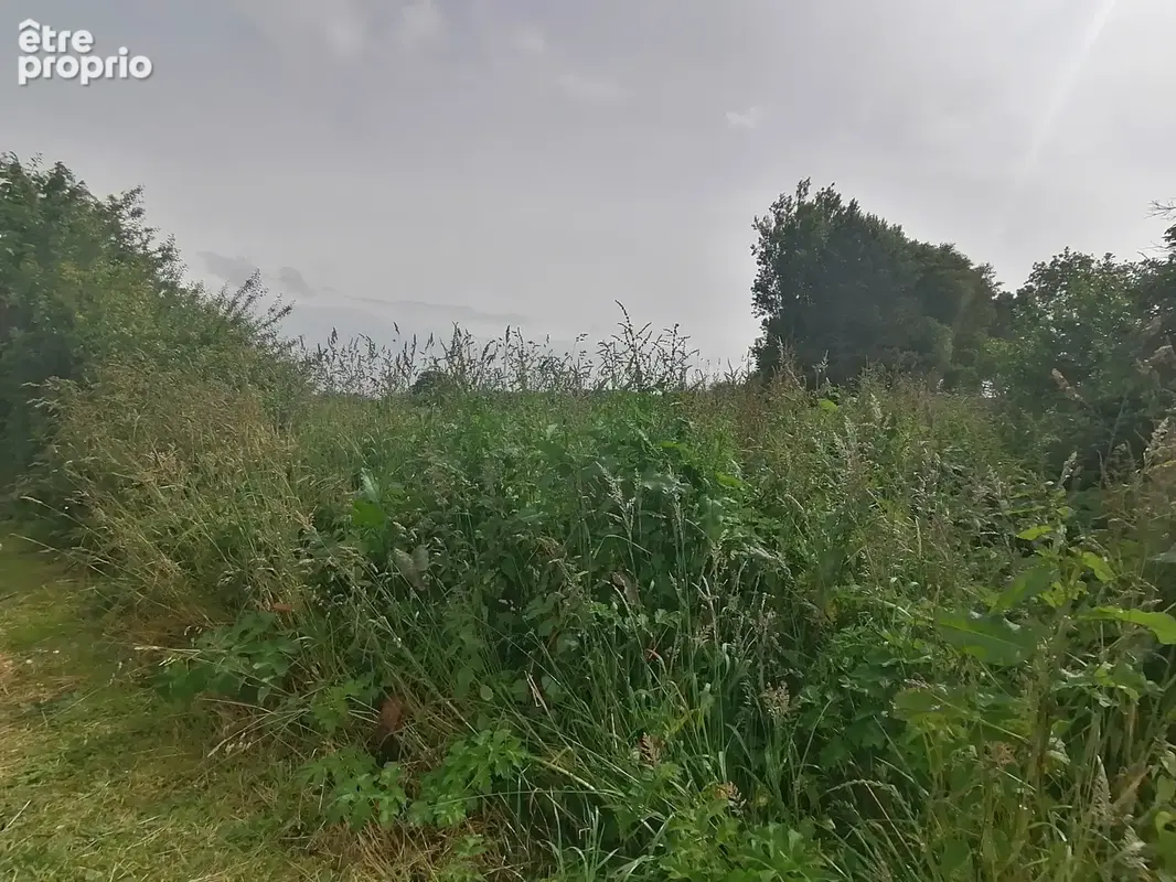 Quatre parcelles à fontenay sur mer - photo 9