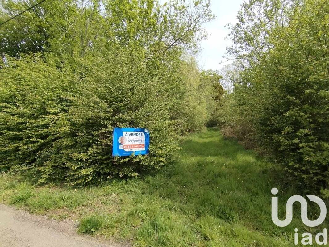 Photo 1 - Terrain à VEZILLY