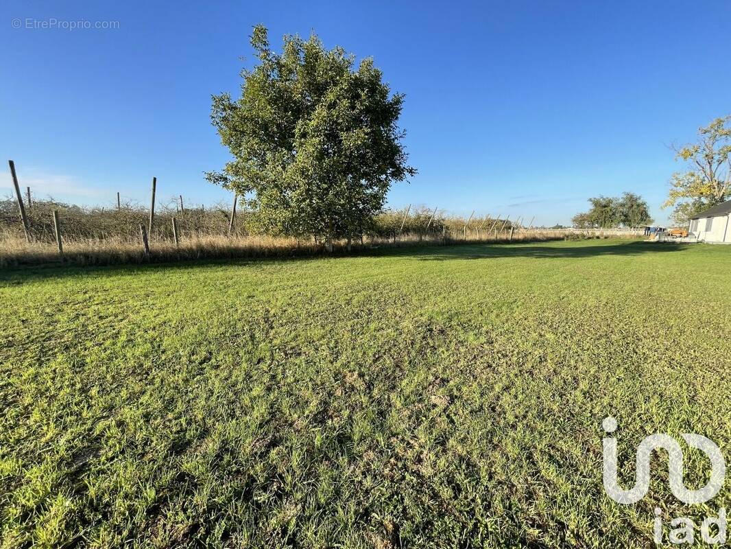 Photo 1 - Terrain à MARQUETTE-EN-OSTREVANT