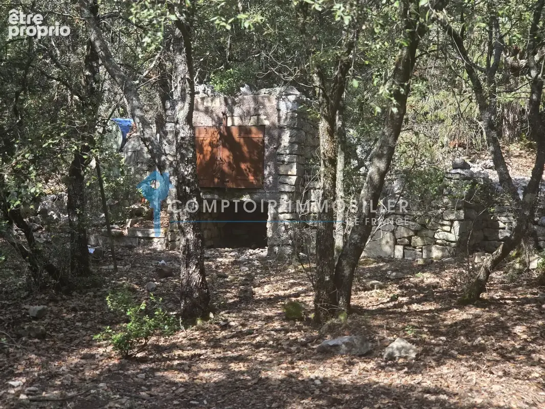 Terrain forestier avec ruine - photo 7