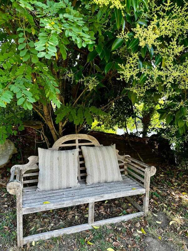 Maison 430 m² à Saint-Seurin-De-Prats  - photo 5