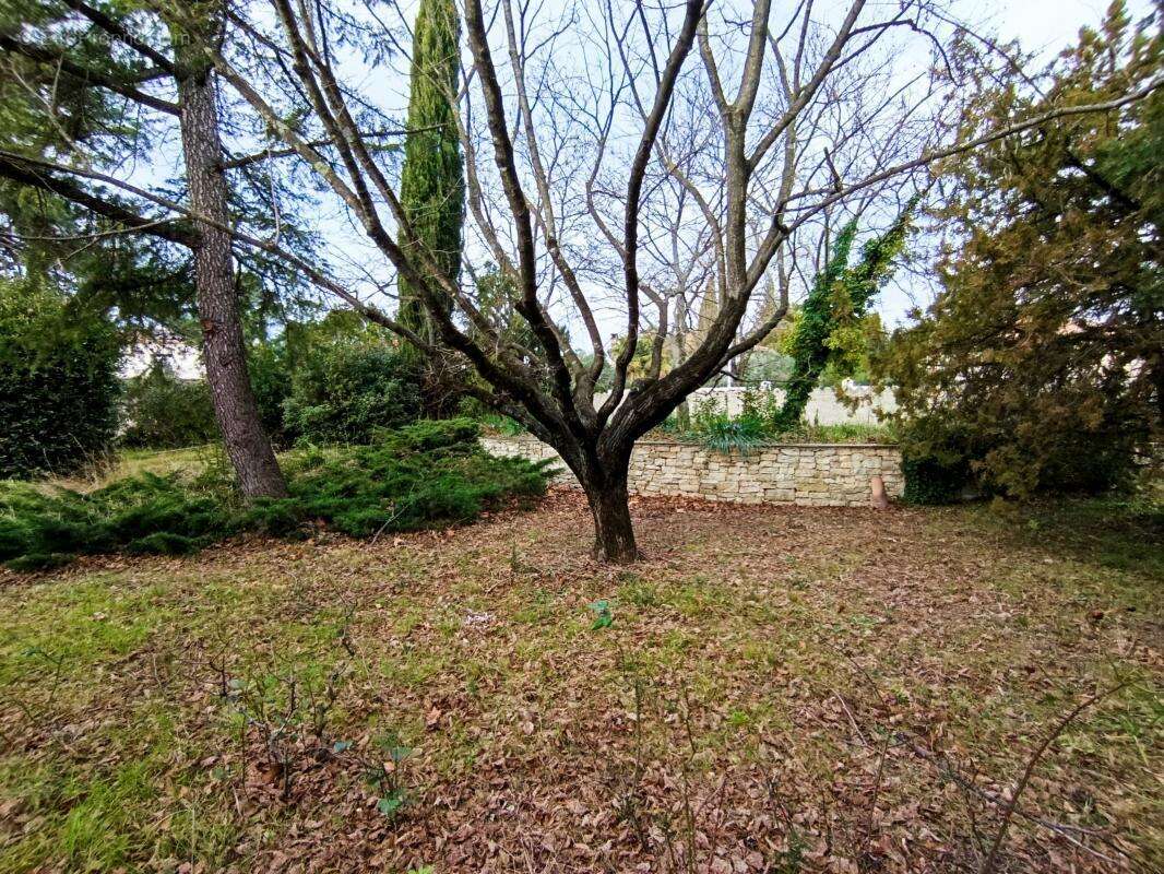 Maison à SAINT-GELY-DU-FESC