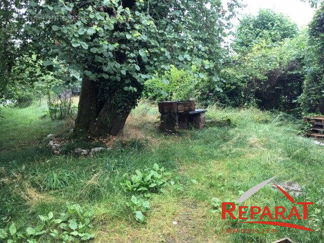 Appartement 186 m² à Juillac  - photo 2