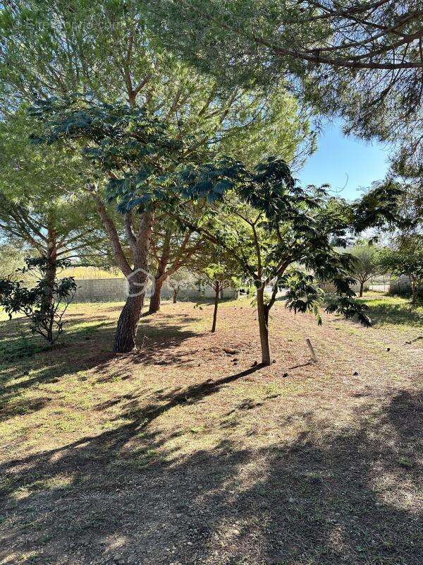 Terrain à AIMARGUES