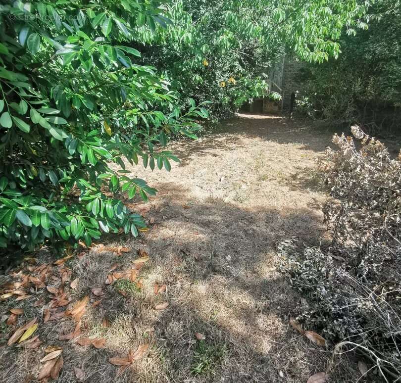 Le Faouët Vente Maison 4 pièce(s) - photo 3