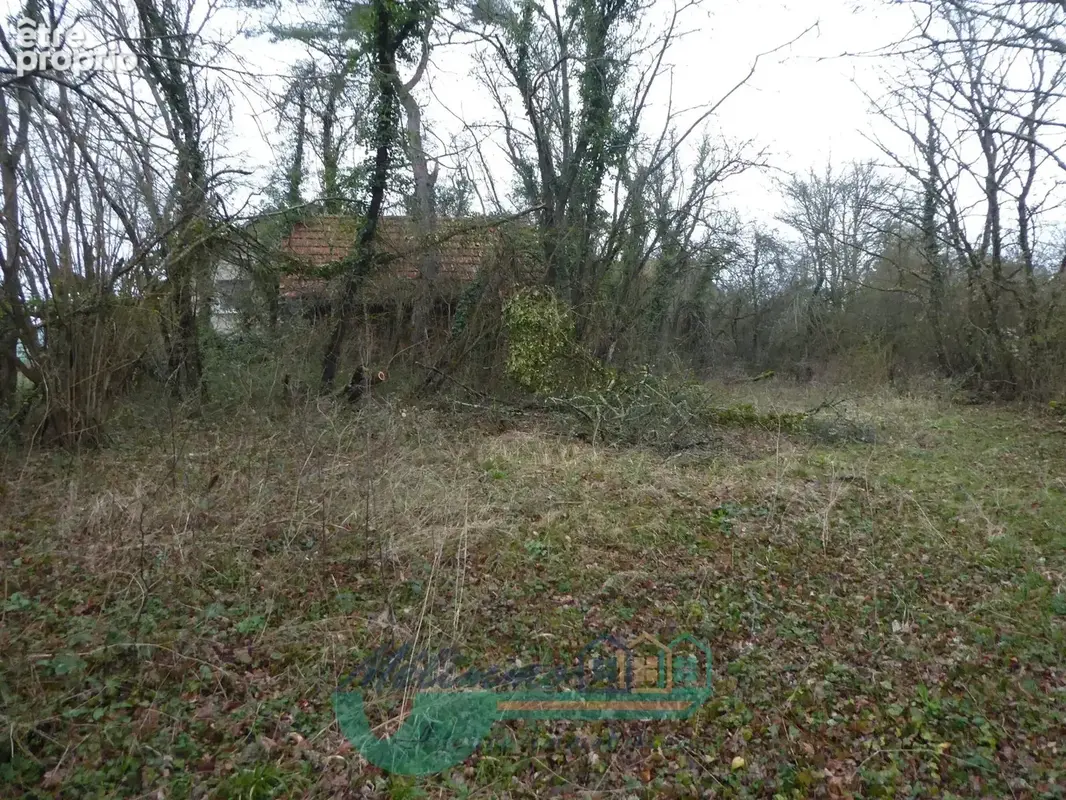 Terrain 30 m² à vendre à Villiers-Saint-Benoit (89130) - photo 2