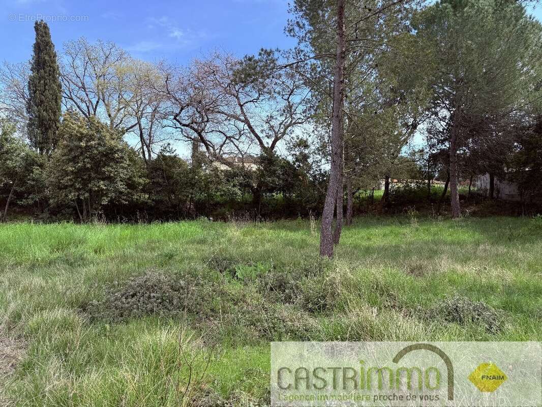 Terrain à SAINT-DREZERY