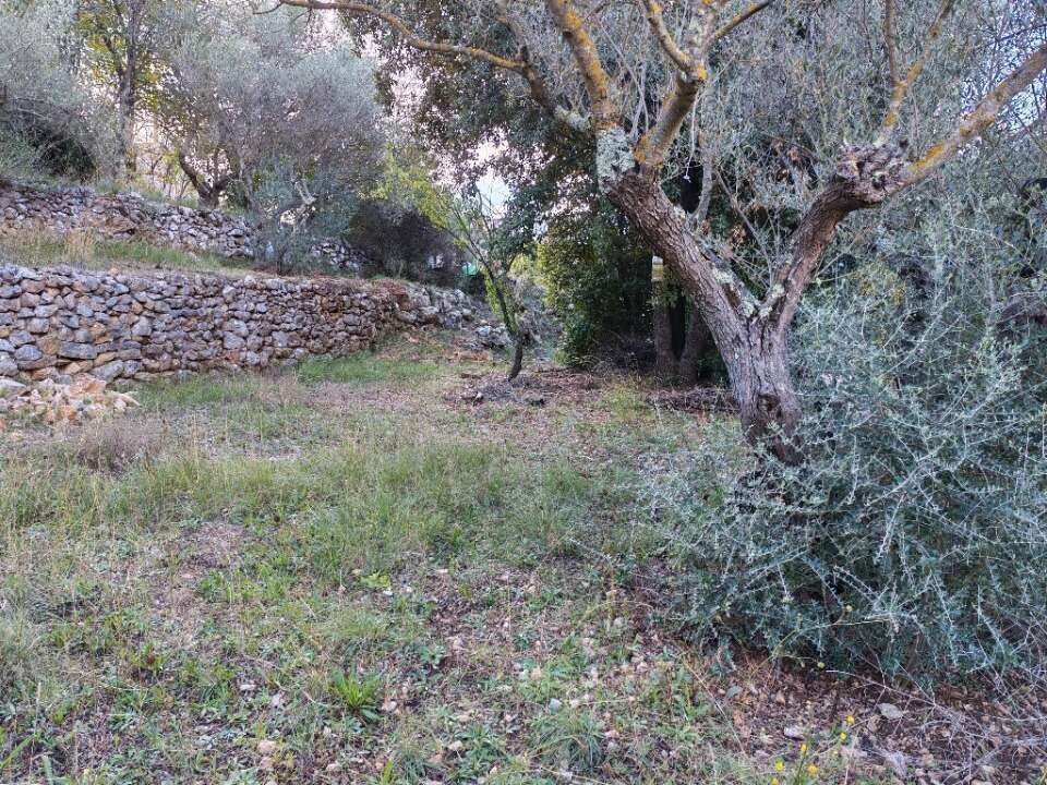 Terrain à CARNOULES