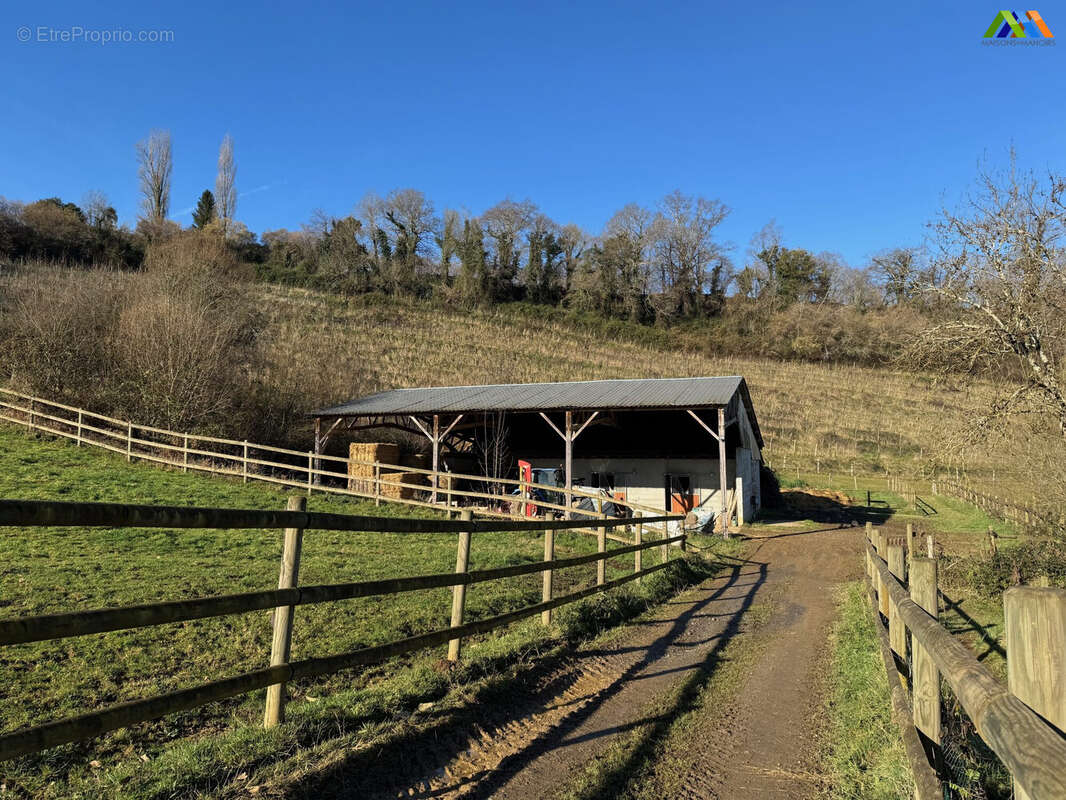 Maison 355 m² à Pau  - photo 3