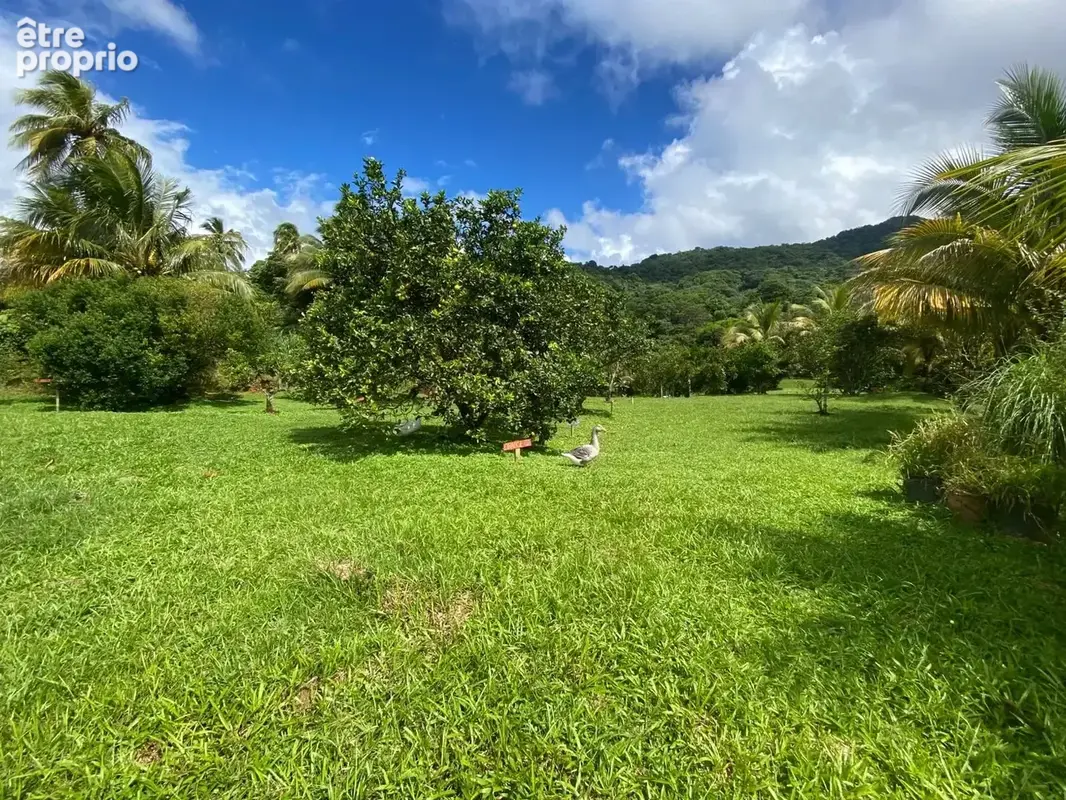 Grande propriété – Le Morne-Rouge - photo 2