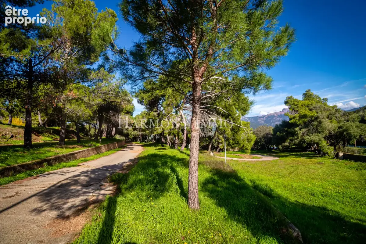 CAMPING 3 ÉTOILES VUE MER - Une opportunité d'investissement exceptionnelle en Corse-du-Sud - photo 6
