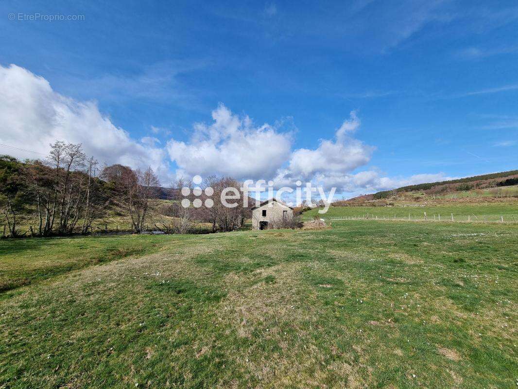 Maison 60 m² à Paulhac-En-Margeride  - photo 2