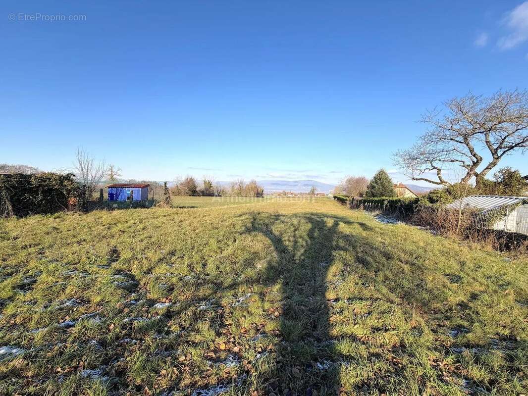 Terrain à DOLOMIEU