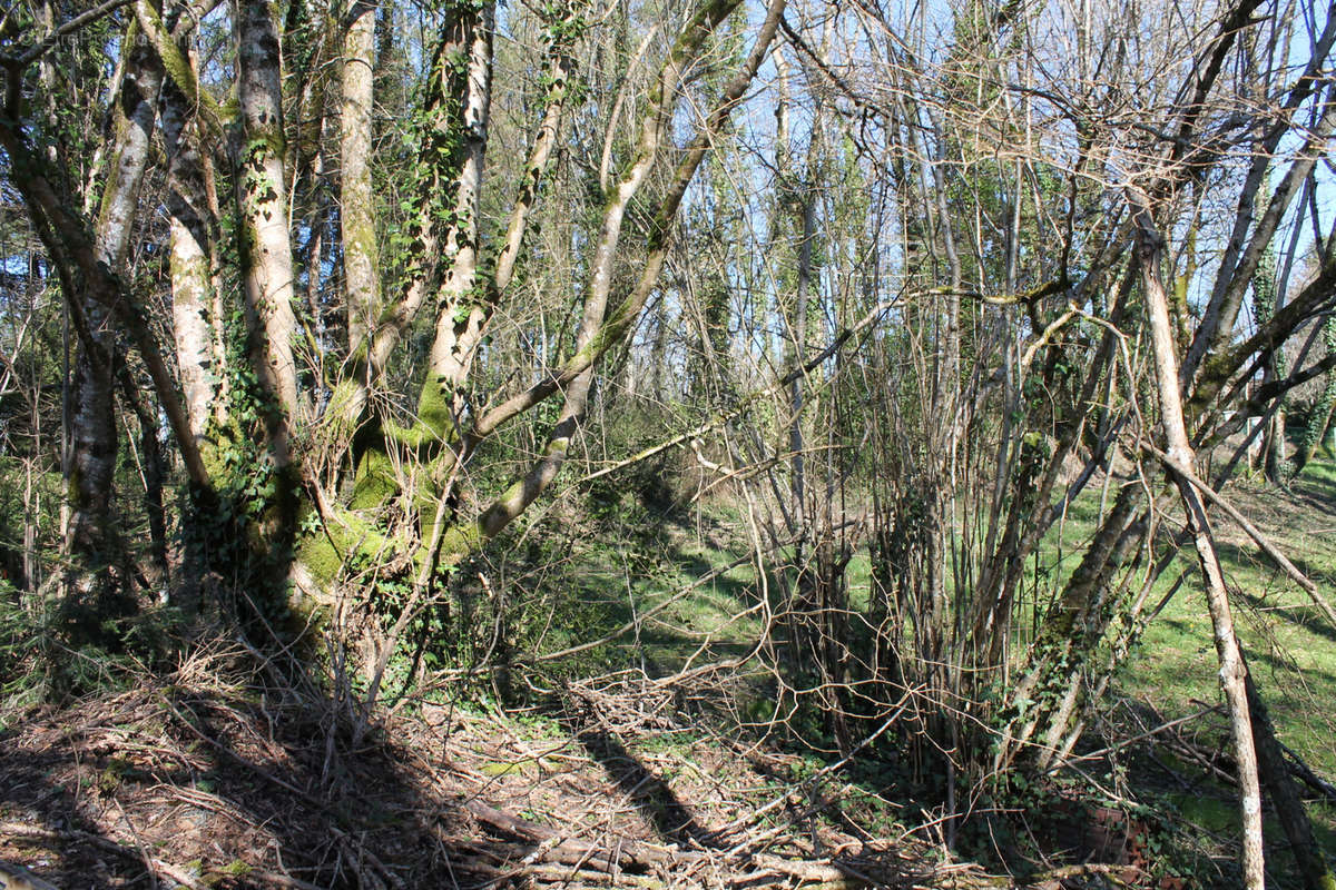 Terrain à SAINT-PRIEST-LES-FOUGERES