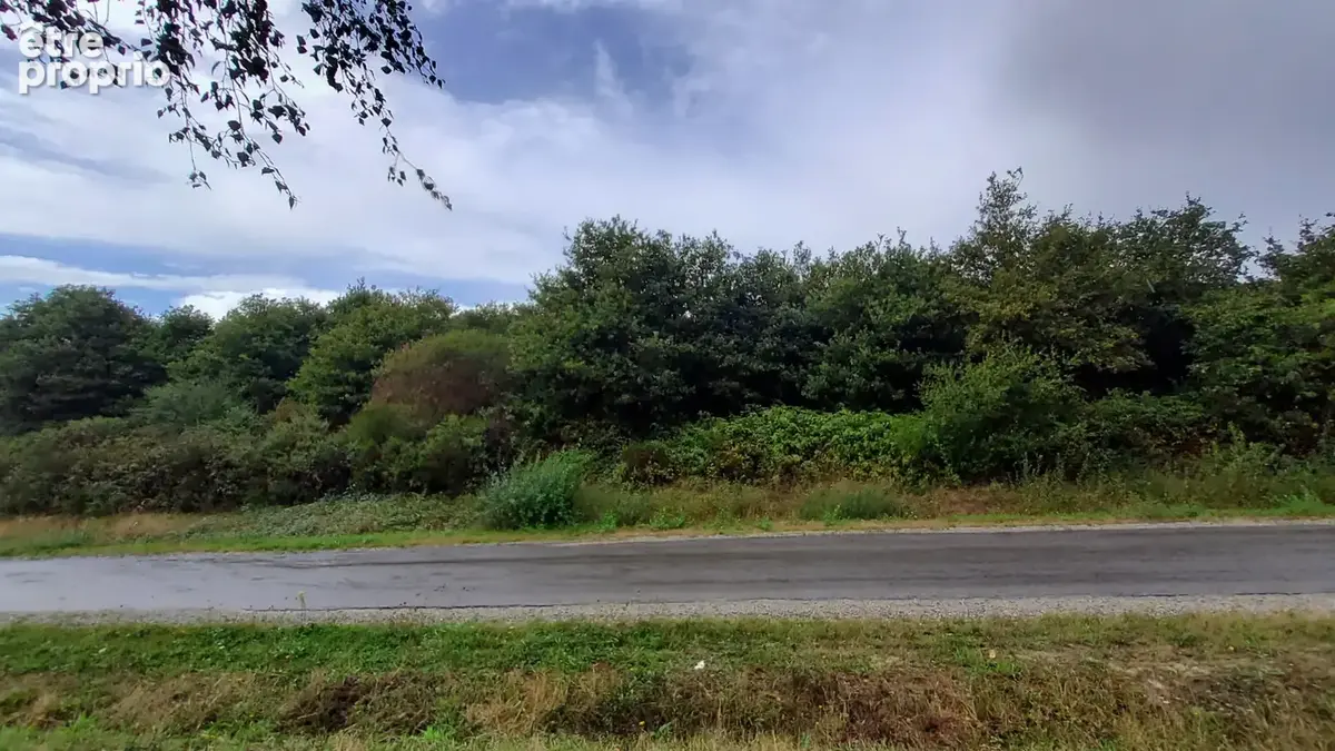 Terrain à POLIGNE