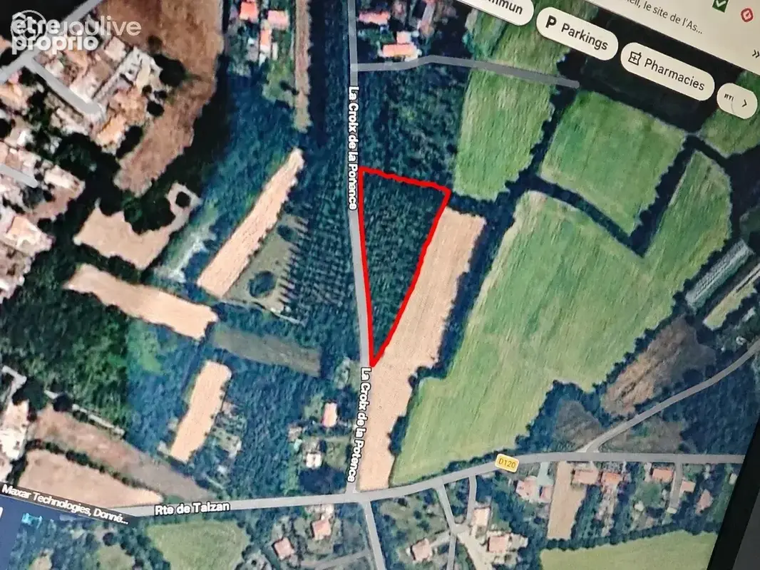 Saint-urbain – sapinière d'environ 5 000 m² – terrain boisé – hors espace boisé classé - photo 6