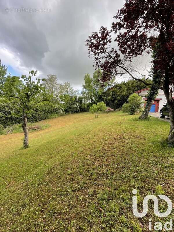 Photo 5 - Terrain à BRISCOUS