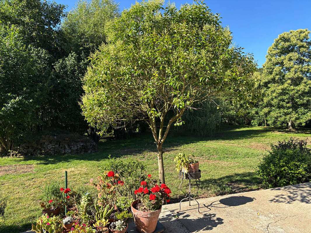 Fermette sur un terrain de 5 300 m² - photo 14