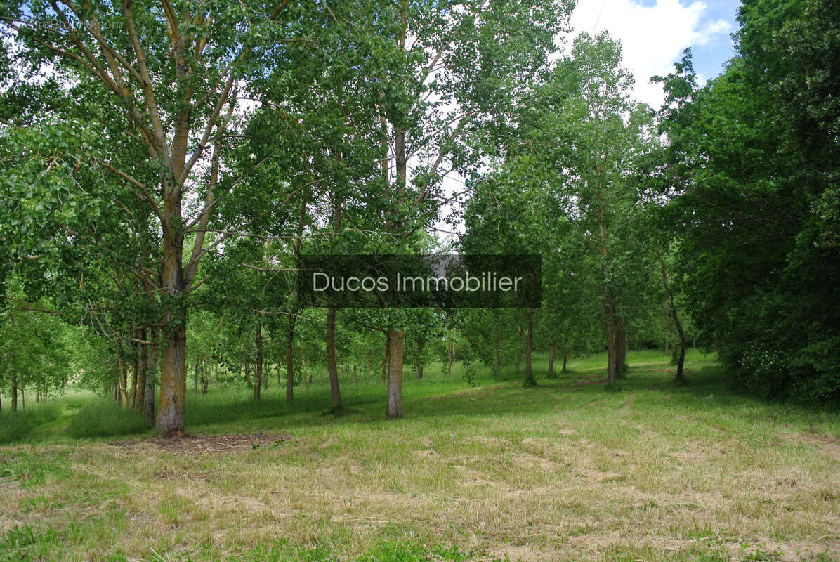 Maison à MAUVEZIN-SUR-GUPIE