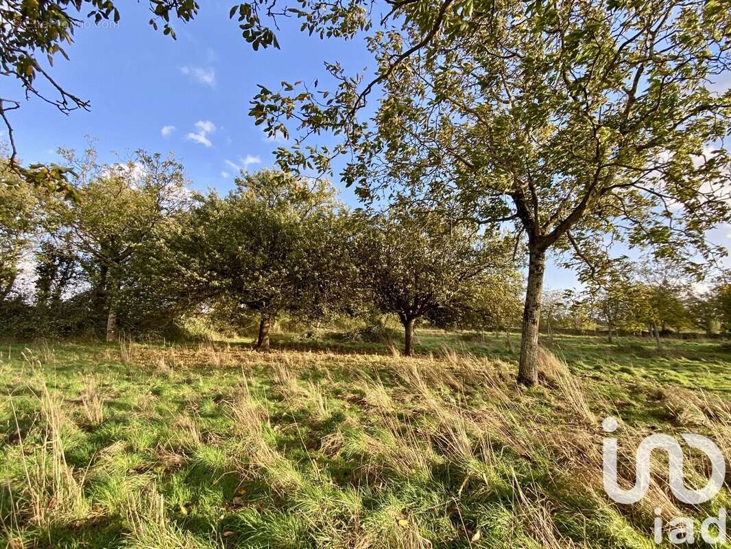 Photo 2 - Terrain à SAINT-HILAIRE-DE-VOUST