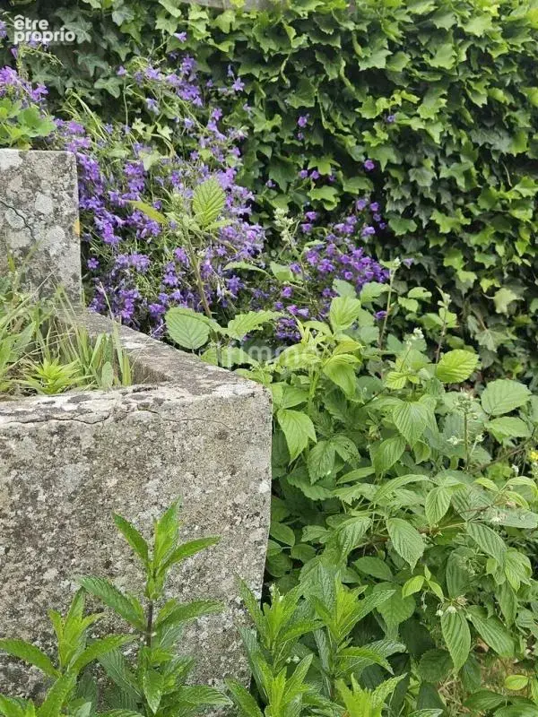 Moisenay, entre nature préservée et charme authentique - photo 10