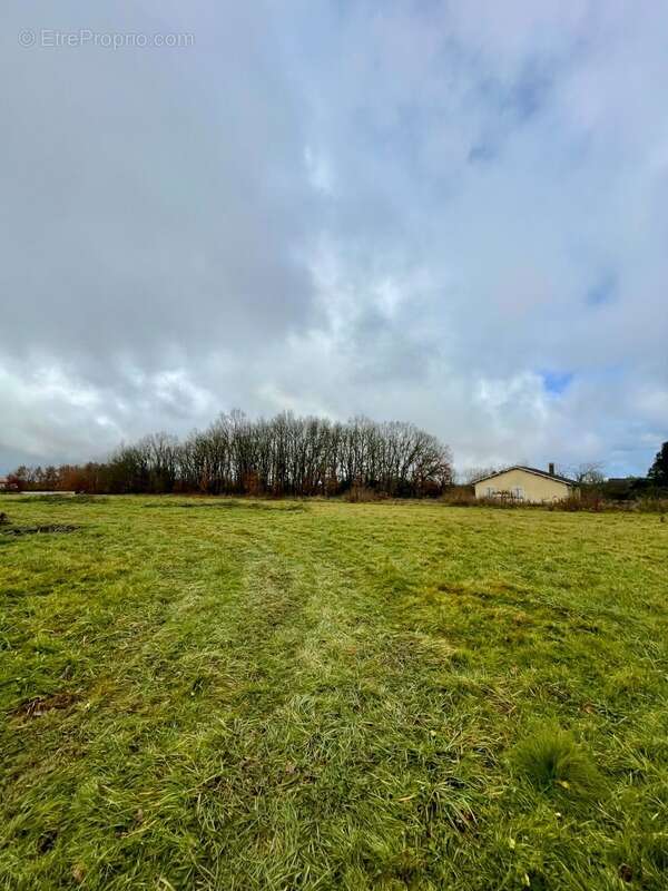 Terrain à bâtir viabilisé de 816 m² à Saint-Sardos (82) – proche Montech - photo 5