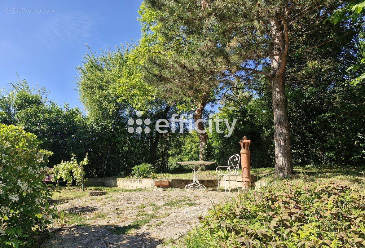 Maison 257 m² à Vernioz  - photo 2