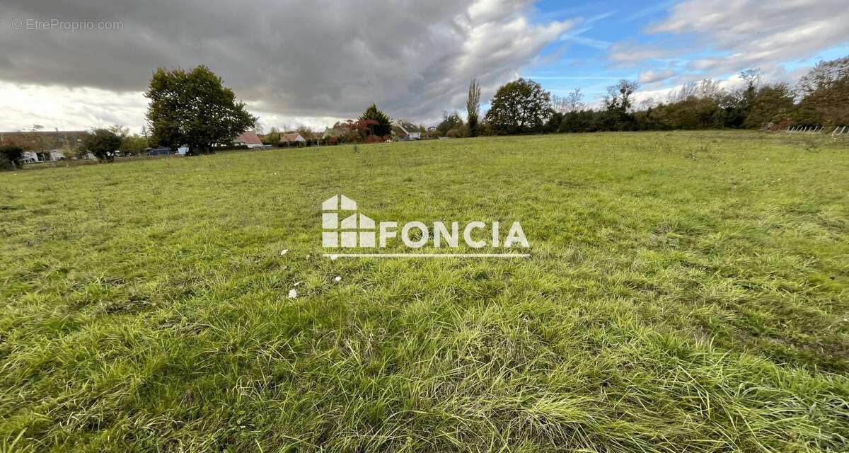 Terrain à LA CHAPELLE-SAINT-REMY