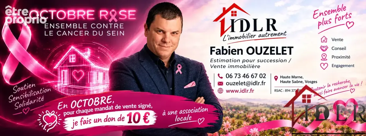 RARE   Maison de Village avec Vue et Potentiel à Coiffy-le- - photo 2