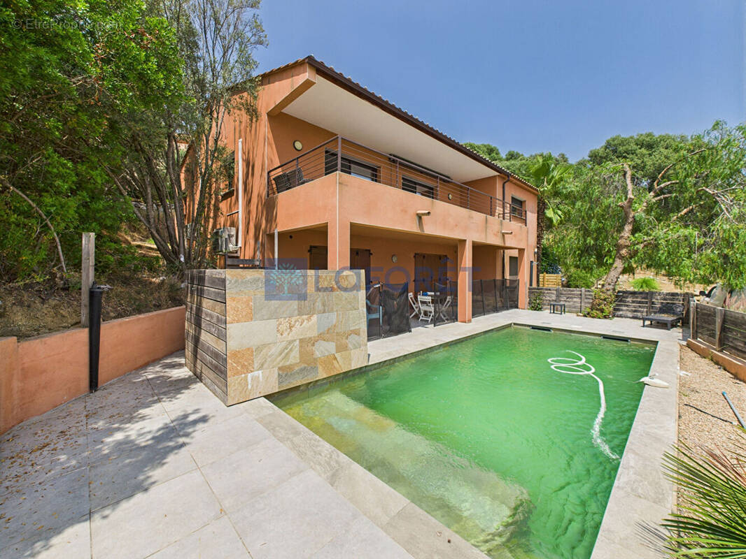 Maison à CALCATOGGIO