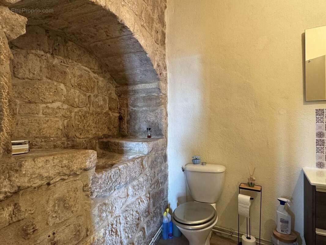 IMG1964 - Maison à SAINT-CYPRIEN