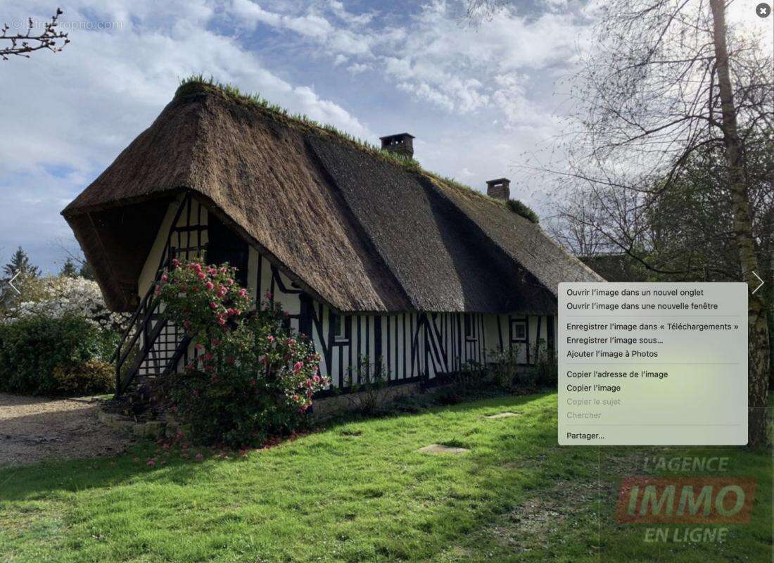Haras / Equestre - photo 3