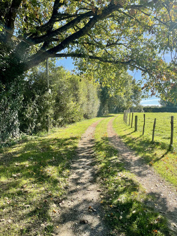 Maison à LES NOUILLERS