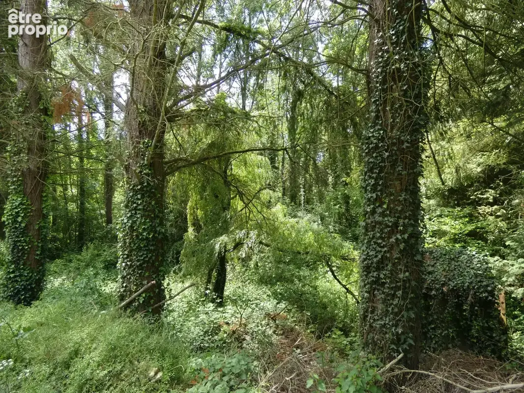 proche de ARGENTAN (61) propriété de 9078 m² de terrain - photo 2