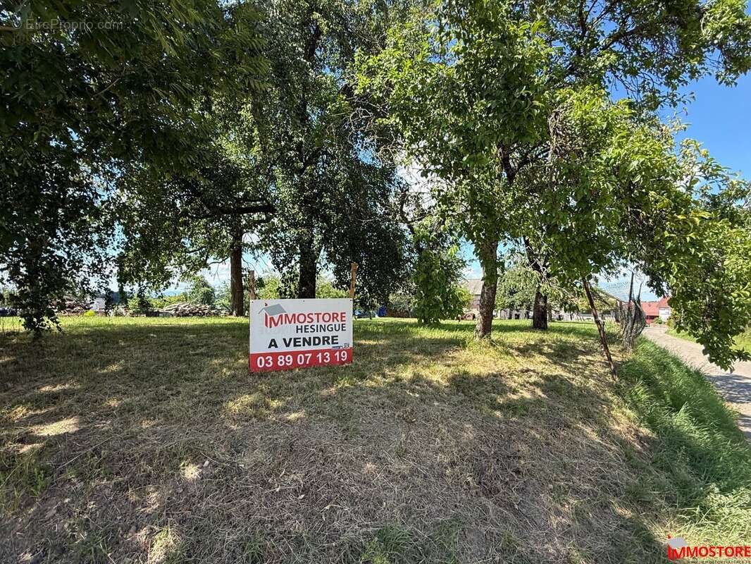 Terrain à MUESPACH-LE-HAUT