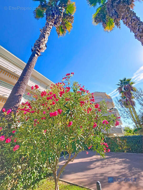 Appartement à VILLENEUVE-LOUBET