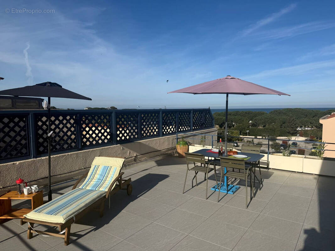 Photo 1 - Appartement à ARGELES-SUR-MER