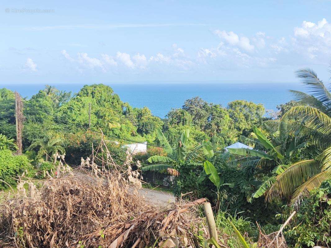 Maison à CAPESTERRE-BELLE-EAU