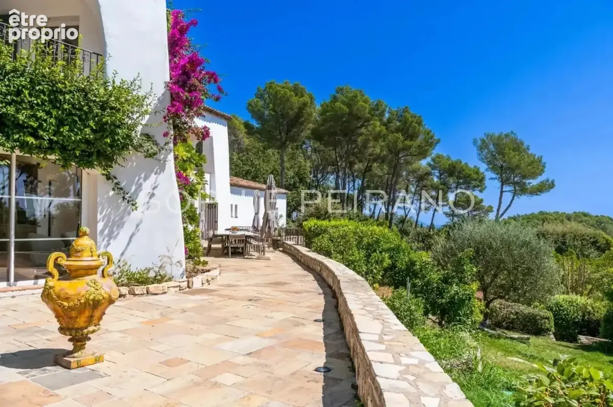Opio – domaine d’exception de près de 5 ha avec vue mer - photo 15