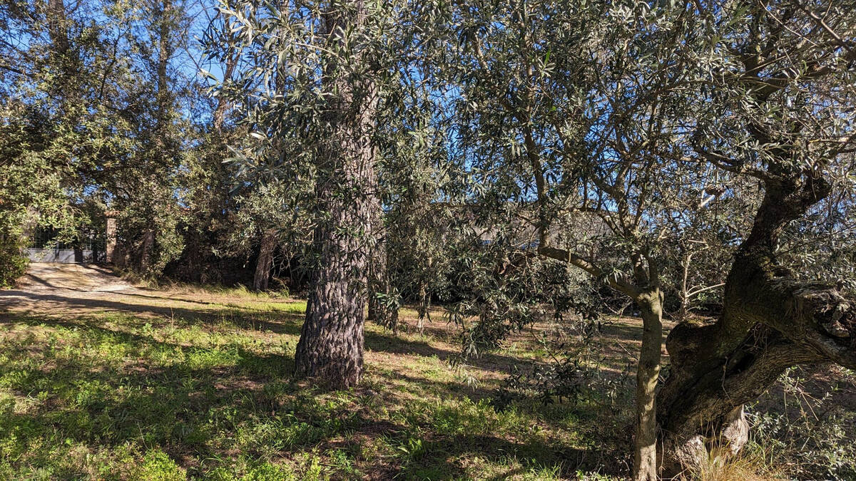 Terrain à LORGUES