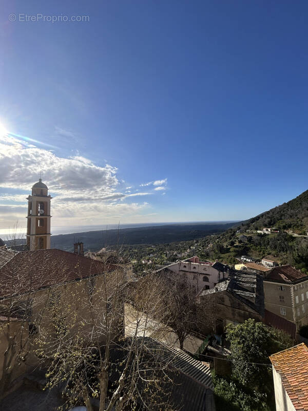 Appartement à CERVIONE